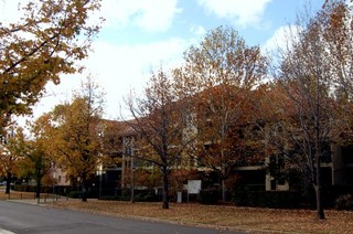 Complex 5 (2007-04-27)