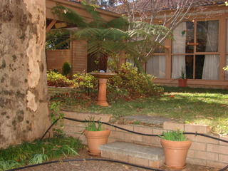 Garden (2008-06-04)