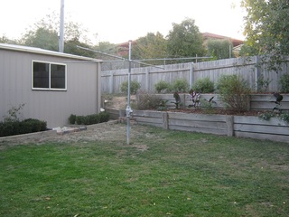 Backyard (2018-12-07)