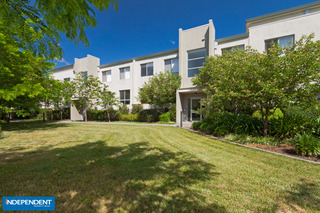 Hakea (2012-11-10)