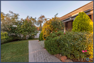 Front garden (2014-03-06)