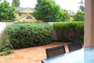 Frontyard (2016-01-19)