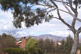 View (2004-09-10)