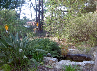 Garden (2007-08-09)
