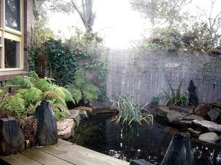 Pond (2006-07-25)