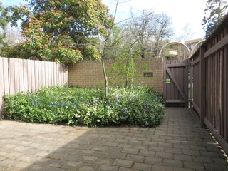 Front Courtyard (2014-09-24)