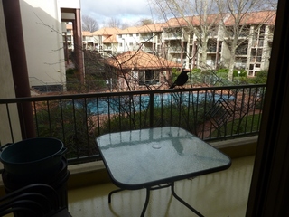 Balcony (2010-07-26)