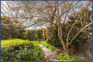 Garden (2014-09-03)