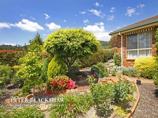 Rear garden (2011-11-10)