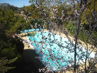 Pool (2006-08-31)