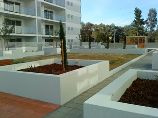 Garden (2009-11-19)