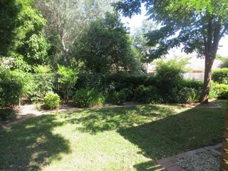 Backyard (2018-04-23)