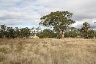 Standard Photo (2011-09-12)
