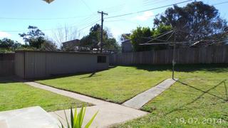 Backyard (2014-07-21)