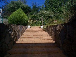 Back Garden (2002-11-29)