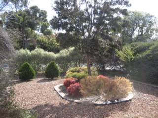 Garden (2009-04-22)