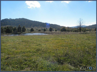 Perfect House Site (2012-04-19)