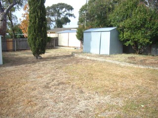 Backyard (2006-04-29)