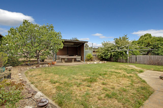 Backyard (2012-11-23)