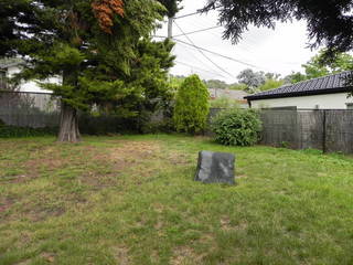 Backyard (2011-06-22)