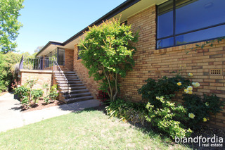 Frontyard (2015-10-28)