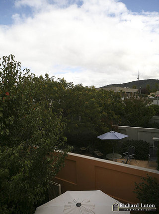 View (2008-04-09)