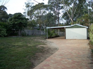 Backyard (2007-06-07)