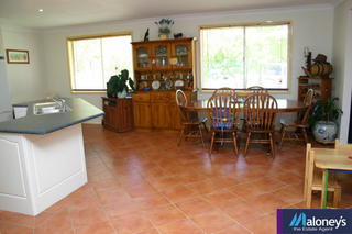 Family room (2006-10-31)