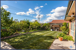 Back Garden (2013-10-09)
