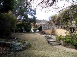 Backyard (2011-06-22)