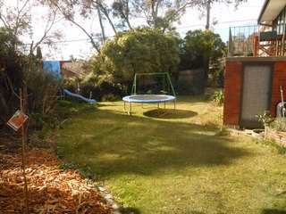 Backyard (2014-07-02)