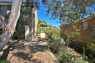 Patio Side of House (2010-01-21)