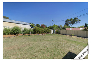 Back Yard (2016-05-11)