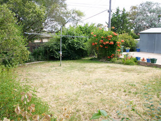 Backyard (2005-01-14)