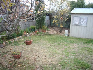 Garden (2006-06-10)