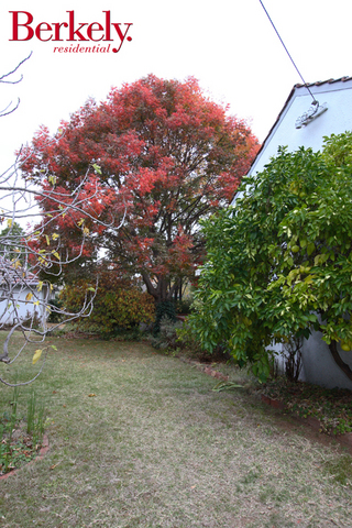 Garden (2007-04-27)