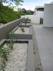 Rear terrace (2008-10-20)