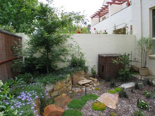 Frontyard (2005-01-05)