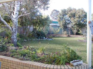 Backyard (2002-08-14)