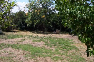 Rear yard (2006-02-17)