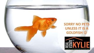 (2019-03-26)