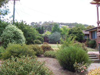 Rear garden (2006-01-10)