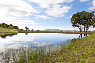 2.5 Megalitre plus Dam (2014-08-11)