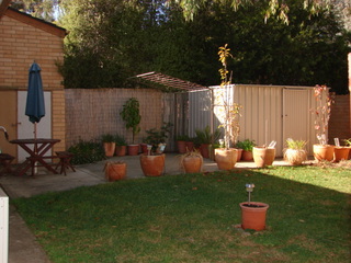 Garden (2008-06-04)