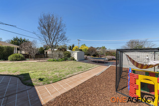 Backyard (2014-09-23)