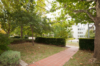 Street (2011-04-07)