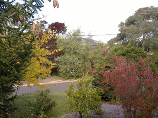 Front View (2012-06-24)