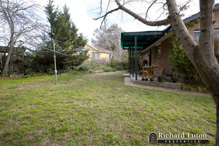 Backyard (2010-07-29)