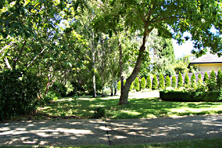 Garden (2005-12-20)