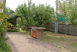 Backyard (2010-02-10)